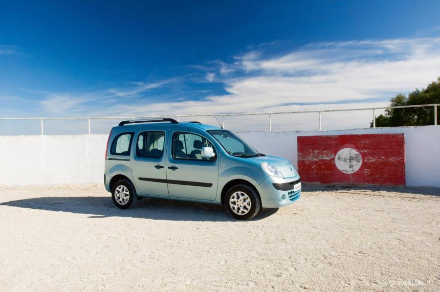  Renault Kangoo 2008 года  (фото 52 из 59)